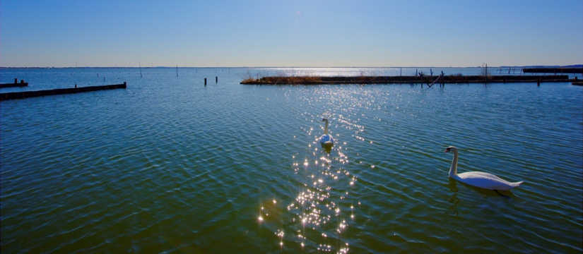 dsc_0460.jpg